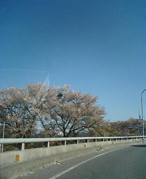 これは何だっ！？