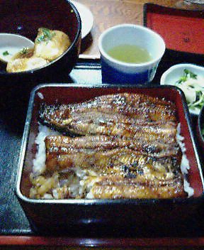 鰻