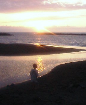 夕日