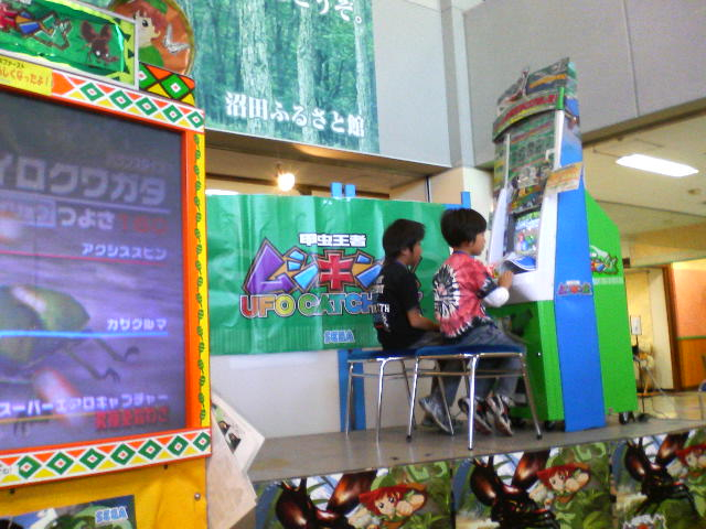 パプアキンイロクワガタ大会