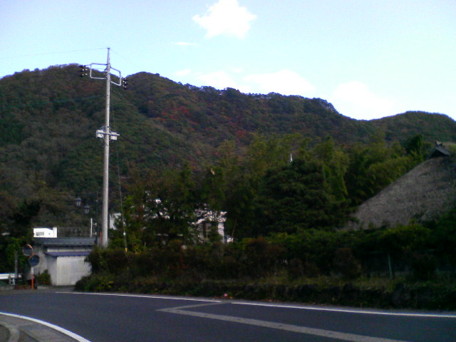 熊が出た！