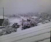 雪