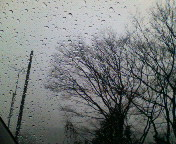 雨…。