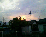 夕日