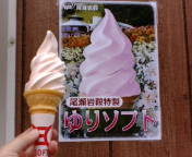 尾瀬岩鞍ゆり園