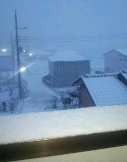 降り始めた〜っ
