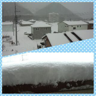 積雪量全国１位！