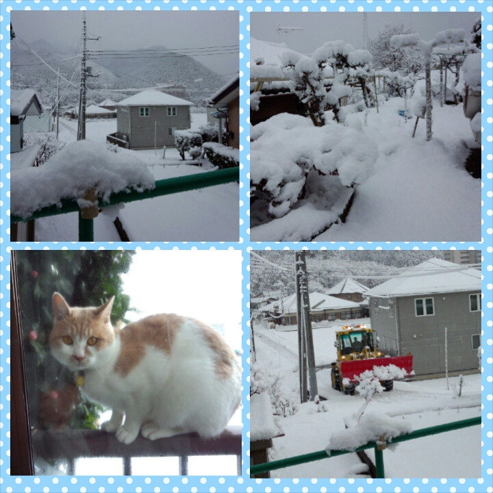 また雪が…