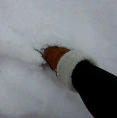 雪だ〜