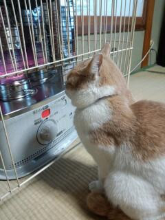 冷え込んだ〜