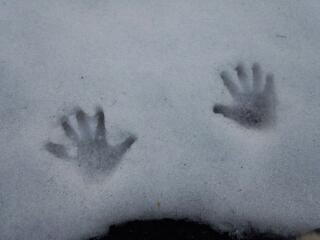 雪がとけた〜