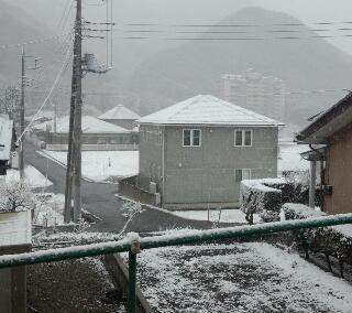 4月なのに雪
