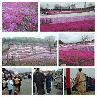 みさと芝桜まつり