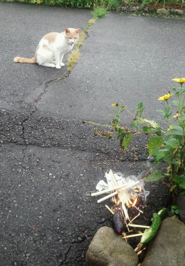 お盆の送り火