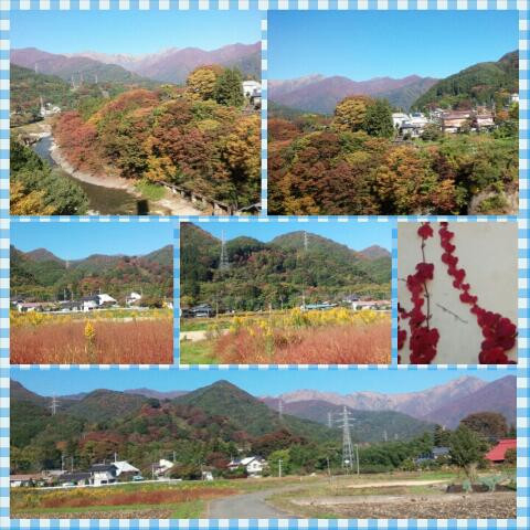 紅葉だ～