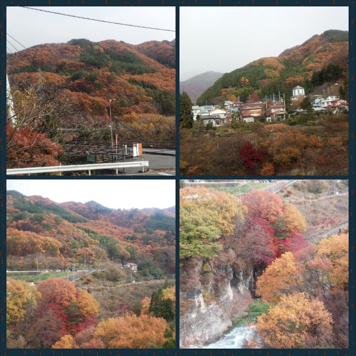 紅葉も終わりかなぁ