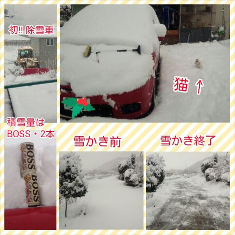 初雪ですよ！