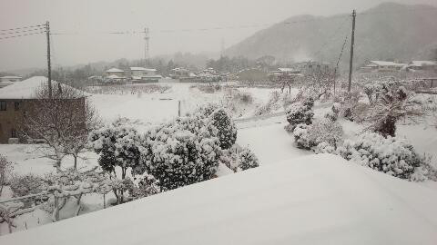 やっぱり降りました。