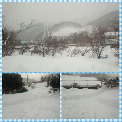 雪が～