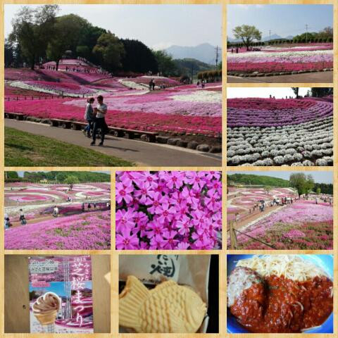 みさと芝桜公園