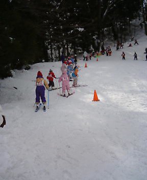 スキー大会